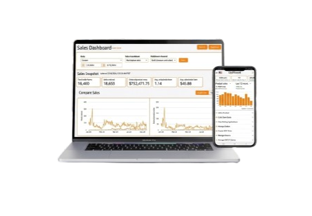 EcomElevate store dashboard